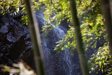 《上古卷轴4：湮灭重制版》玩家人数突破900万