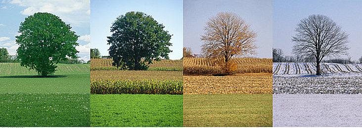 《绝地潜兵2》工作室CEO承认 低谷时想到了《无人深空》